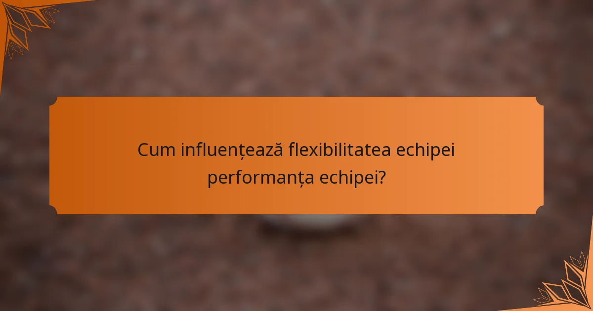 Cum influențează flexibilitatea echipei performanța echipei?